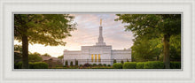 Load image into Gallery viewer, Nashville Trees
