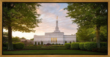 Load image into Gallery viewer, Nashville Trees
