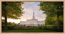 Load image into Gallery viewer, Nashville Trees
