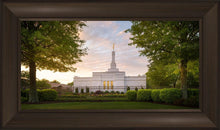 Load image into Gallery viewer, Nashville Trees

