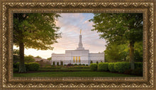 Load image into Gallery viewer, Nashville Trees
