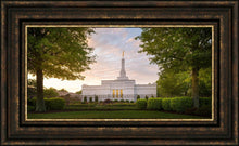 Load image into Gallery viewer, Nashville Trees
