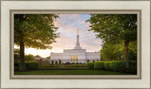 Load image into Gallery viewer, Nashville Trees
