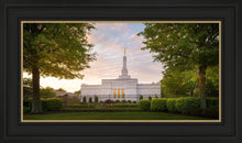 Load image into Gallery viewer, Nashville Trees
