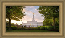 Load image into Gallery viewer, Nashville Trees
