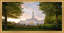 Load image into Gallery viewer, Nashville Trees
