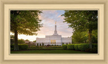 Load image into Gallery viewer, Nashville Trees
