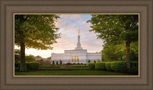 Load image into Gallery viewer, Nashville Trees
