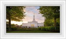Load image into Gallery viewer, Nashville Trees
