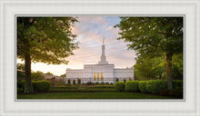 Load image into Gallery viewer, Nashville Trees
