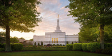 Load image into Gallery viewer, Nashville Trees
