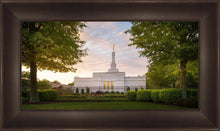 Load image into Gallery viewer, Nashville Trees
