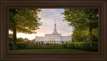 Load image into Gallery viewer, Nashville Trees
