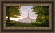 Load image into Gallery viewer, Nashville Trees
