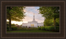 Load image into Gallery viewer, Nashville Trees
