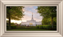 Load image into Gallery viewer, Nashville Trees
