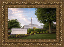 Load image into Gallery viewer, Nashville Late Afternoon

