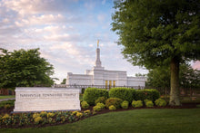 Load image into Gallery viewer, Nashville Late Afternoon
