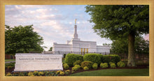 Load image into Gallery viewer, Nashville Late Afternoon
