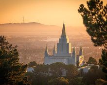 Load image into Gallery viewer, Golden Oakland
