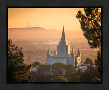 Load image into Gallery viewer, Golden Oakland
