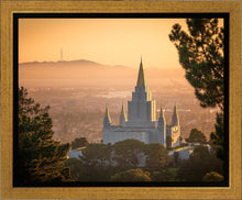 Load image into Gallery viewer, Golden Oakland
