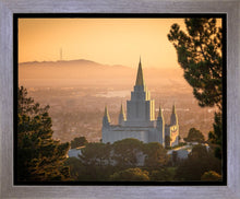 Load image into Gallery viewer, Golden Oakland
