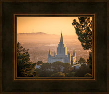 Load image into Gallery viewer, Golden Oakland
