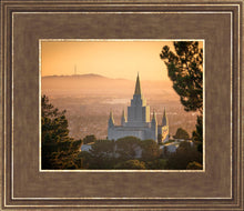 Load image into Gallery viewer, Golden Oakland
