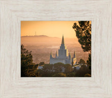 Load image into Gallery viewer, Golden Oakland
