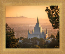 Load image into Gallery viewer, Golden Oakland

