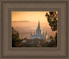 Load image into Gallery viewer, Golden Oakland
