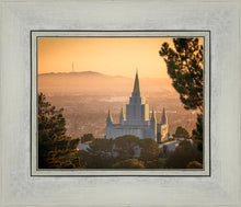 Load image into Gallery viewer, Golden Oakland
