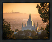 Load image into Gallery viewer, Golden Oakland
