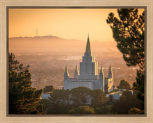 Load image into Gallery viewer, Golden Oakland
