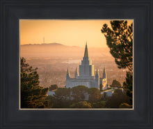 Load image into Gallery viewer, Golden Oakland
