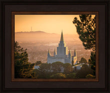 Load image into Gallery viewer, Golden Oakland
