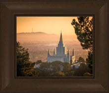 Load image into Gallery viewer, Golden Oakland
