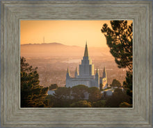 Load image into Gallery viewer, Golden Oakland
