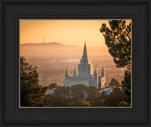 Load image into Gallery viewer, Golden Oakland
