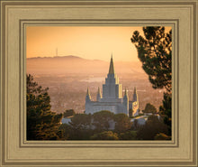Load image into Gallery viewer, Golden Oakland
