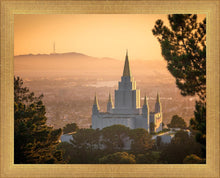 Load image into Gallery viewer, Golden Oakland
