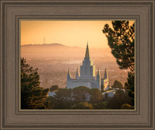 Load image into Gallery viewer, Golden Oakland
