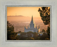 Load image into Gallery viewer, Golden Oakland
