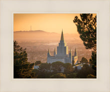 Load image into Gallery viewer, Golden Oakland
