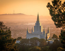 Load image into Gallery viewer, Golden Oakland
