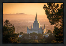 Load image into Gallery viewer, Golden Oakland
