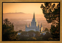 Load image into Gallery viewer, Golden Oakland

