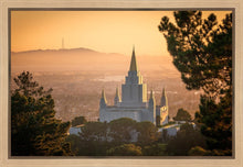 Load image into Gallery viewer, Golden Oakland
