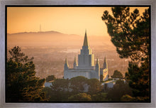 Load image into Gallery viewer, Golden Oakland
